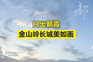 开云app最新版本截图2